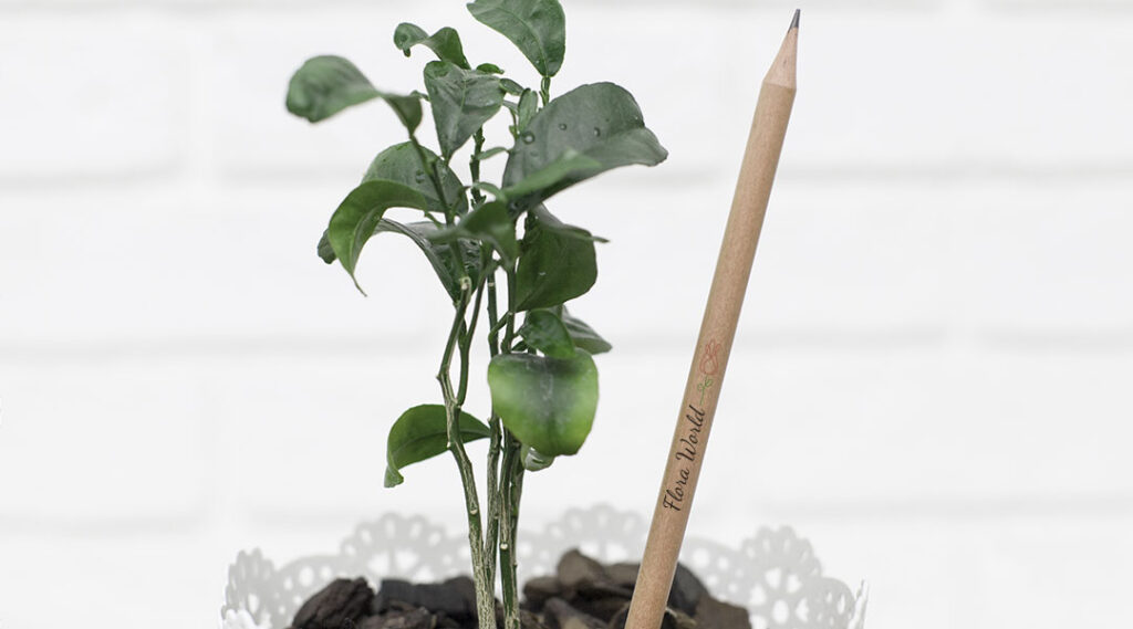 Nachwachsender Bleistift im Blumentopf