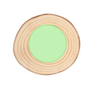 Position 1