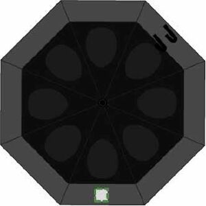 Position 4