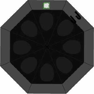Position 11
