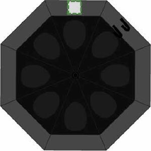 Position 8