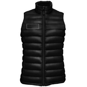 Chest