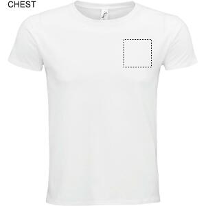 Chest