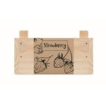 Kleines Anbauset für Erdbeeren mit Kiste und Erde für zu Hause farbe holzton sechste Ansicht