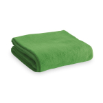 Günstige Kuscheldecke aus Fleece als Winter Merchandising, 240 g/m2 farbe grün erste Ansicht