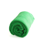 Günstige Kuscheldecke aus Fleece als Winter Merchandising, 240 g/m2 farbe grün dritte Ansicht