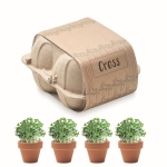 Set mit 4 Blumentöpfen mit Kressesamen als Giveaway farbe beige