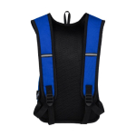 Wasserabweisender Trekking-Rucksack für Outdoor-Fans farbe köngisblau zweite Rückansicht