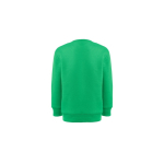 Kinder-Sweatshirt aus recyceltem Polyester, 300 g/m2, THC DELTA KIDS farbe grün dritte Ansicht