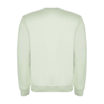 Unisex-Sweatshirt aus Baumwolle und Polyester, 280 g/m², Roly farbe pastellgrün zweite Rückansicht