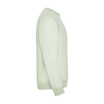 Unisex-Sweatshirt aus Baumwolle und Polyester, 280 g/m², Roly farbe pastellgrün dritte Rückansicht