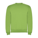Unisex-Sweatshirt aus Baumwolle und Polyester, 280 g/m2, Roly farbe lindgrün