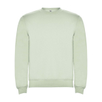 Unisex-Sweatshirt aus Baumwolle und Polyester, 280 g/m2, Roly