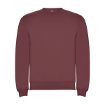 Unisex-Sweatshirt aus Baumwolle und Polyester, 280 g/m2, Roly