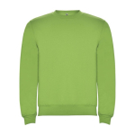 Kindersweatshirt aus Baumwolle und Polyester, 280 g/m2, Roly farbe lindgrün