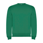 Kindersweatshirt aus Baumwolle und Polyester, 280 g/m2, Roly