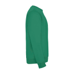 Kindersweatshirt aus Baumwolle und Polyester, 280 g/m2, Roly zweite Seitenansicht