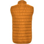 Gefütterte Weste aus Polyester für Herren, 290 g/m², Roly zweite Rückansicht
