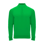 Langarm-Kinder-Sweatshirt mit Logo, 200 g/m2 Roly farbe grün