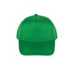 5-Panelen-Cap aus recyceltem Polyester und Klettverschluss, 210 g/m² farbe grün