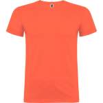 Kurzärmeliges T-Shirt aus Baumwolle 155 g/m² Roly Direct Beagle farbe türkis erste Gebrauchsansicht