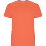 Kurzarm T-Shirt aus Baumwolle 190 g/m² Roly Direct Stafford farbe türkis erste Gebrauchsansicht