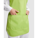 Unisex-Wendeschürze mit zwei Taschen, 195 g/m2 Roly Arzak farbe grüne pistazie erste Detailansicht