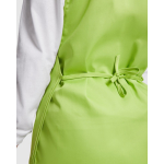 Unisex-Wendeschürze mit zwei Taschen, 195 g/m2 Roly Arzak farbe grüne pistazie zweite Detailansicht