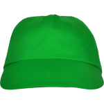 5-Panel-Kappe mit schweißabsorbierendem Innenband, 165 g/m2 farbe grün zweite Ansicht