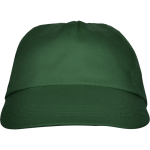 5-Panel-Kappe mit schweißabsorbierendem Innenband, 165 g/m2 farbe dunkelgrün zweite Ansicht