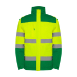 Wattierte Warnschutz-Parka mit Kapuze, 400 g/m2 Roly Epsylon farbe grün zweite Ansicht