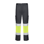Arbeitshose als Werbeträger 250 g/m2 Roly Daily Stretch HV farbe aschgrau zweite Ansicht