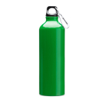 Große Aluminiumflasche mit Karabiner am Verschluss, 800 ml farbe grün erste Gebrauchsansicht