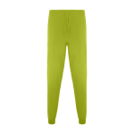 Unisex-Pflegehose mit geradem Beinschnitt 170 g/m2 Roly Fiber farbe grüne pistazie zweite Ansicht