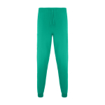 Unisex-Pflegehose mit geradem Beinschnitt 170 g/m2 Roly Fiber farbe smaragdgrün zweite Ansicht