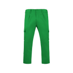Arbeitsbundhose aus Polyester und Baumwolle 240 g/m2 Roly Daily farbe grasgrün zweite Ansicht