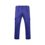 Arbeitsbundhose aus Polyester und Baumwolle 240 g/m2 Roly Daily farbe petrolblau zweite Ansicht