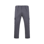Arbeitsbundhose aus Polyester und Baumwolle 240 g/m2 Roly Daily farbe aschgrau zweite Ansicht