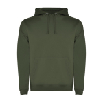 Sweatshirt aus Baumwolle und Polyester 280 g/m2 Roly Direct Urban farbe dunkelgrün zweite Ansicht