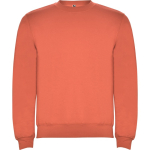 Pullover aus Baumwolle mit Rippbündchen 280 g/m² Roly Direct Clasica farbe türkis erste Gebrauchsansicht