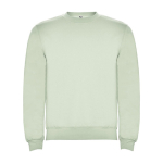 Pullover aus Baumwolle mit Rippbündchen 280 g/m2 Roly Direct Clasica farbe pastellgrün zweite Ansicht