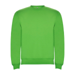 Pullover aus Baumwolle mit Rippbündchen 280 g/m2 Roly Direct Clasica farbe hellgrün zweite Ansicht