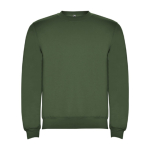 Pullover aus Baumwolle mit Rippbündchen 280 g/m2 Roly Direct Clasica farbe dunkelgrün zweite Ansicht
