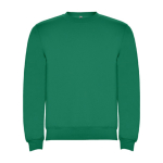 Pullover aus Baumwolle mit Rippbündchen 280 g/m2 Roly Direct Clasica farbe smaragdgrün zweite Ansicht