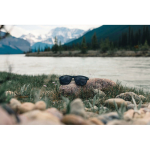 Polarisierte Öko-Sonnenbrille mit UV400-Schutz von Swiss Peak farbe schwarz