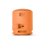 Kabelloser Sony-Lautsprecher SRS-XB100, wasser- und staubdicht farbe orange Ansicht von hinten