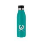 Auslaufsichere Thermosflasche aus Edelstahl mit 360°-Verschluss Tefal 500 ml farbe grün