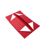 Elegante Geschenkbox aus stabilem Karton mit Magnetverschluss farbe rot sechste Ansicht