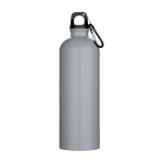 Matte recycelte Edelstahlflasche mit Karabiner 750 ml farbe grau zweite Vorderansicht