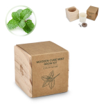 Minze-Anzuchtset mit Topf und Kokossubstrat68625b429b0dbdfc3996455c
